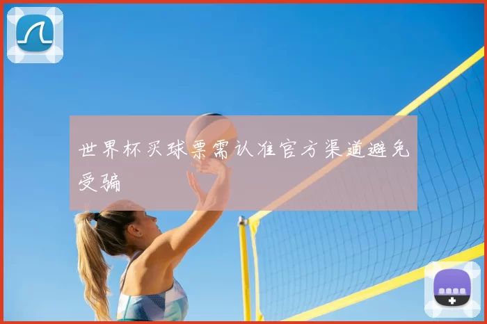 世界杯买球票需认准官方渠道避免受骗