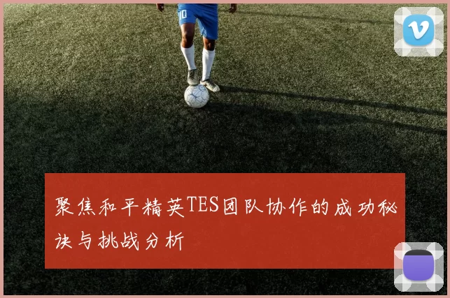 聚焦和平精英TES团队协作的成功秘诀与挑战分析