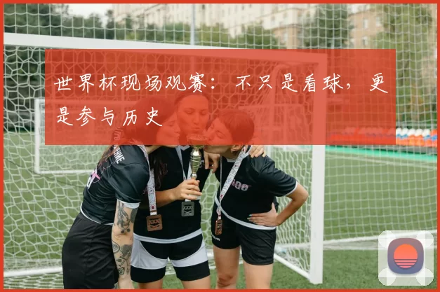 世界杯现场观赛：不只是看球，更是参与历史