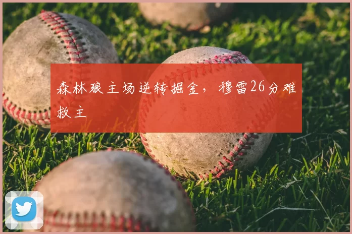 森林狼主场逆转掘金，穆雷26分难救主
