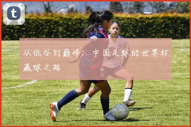 从低谷到巅峰：中国足球的世界杯赢球之路