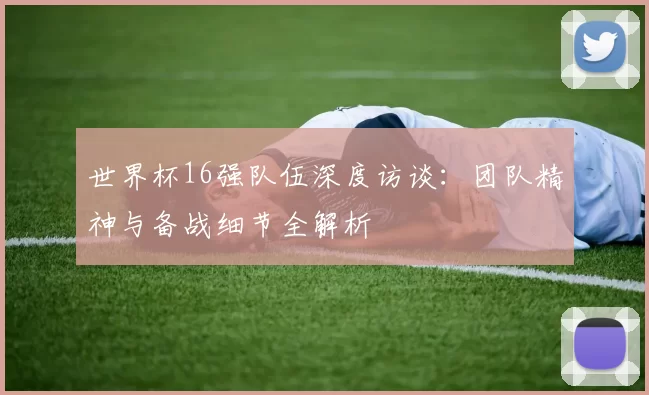 世界杯16强队伍深度访谈:团队精神与备战细节全解析