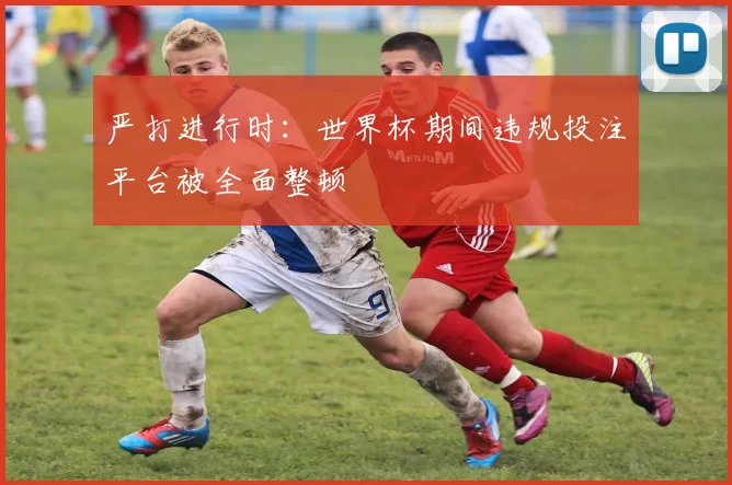 严打进行时：世界杯期间违规投注平台被全面整顿