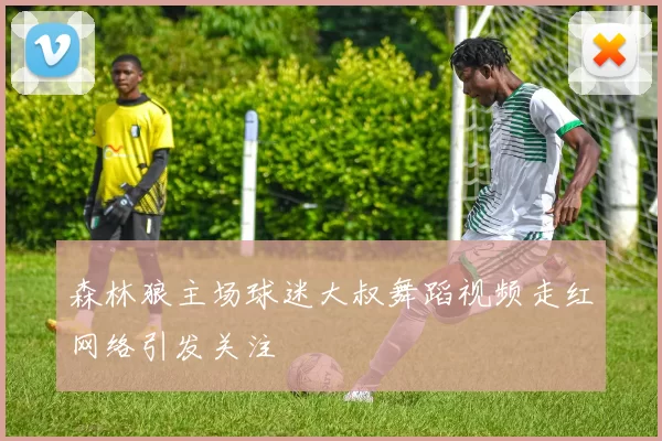 森林狼主场球迷大叔舞蹈视频走红网络引发关注