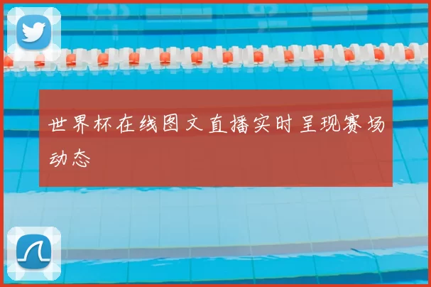 世界杯在线图文直播实时呈现赛场动态