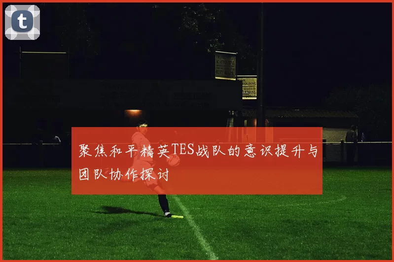 聚焦和平精英TES战队的意识提升与团队协作探讨