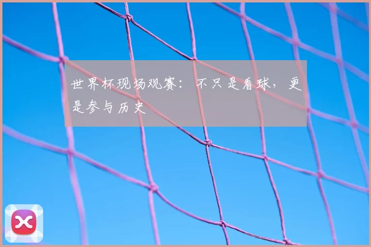 世界杯现场观赛：不只是看球，更是参与历史