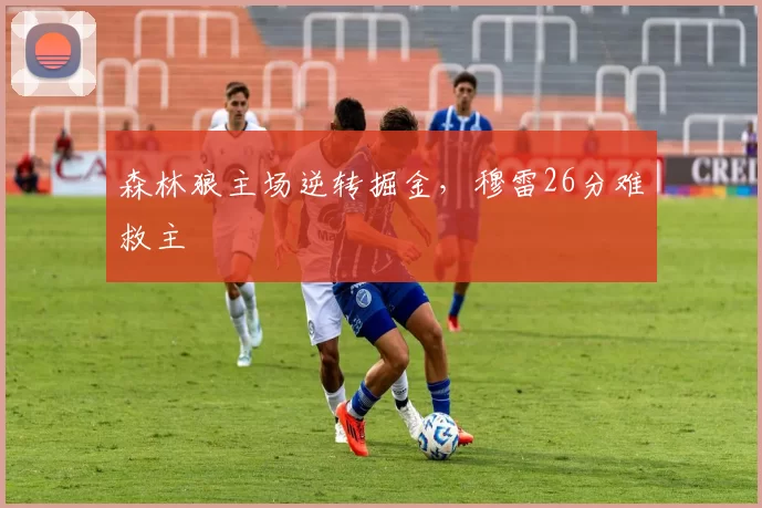 森林狼主场逆转掘金，穆雷26分难救主