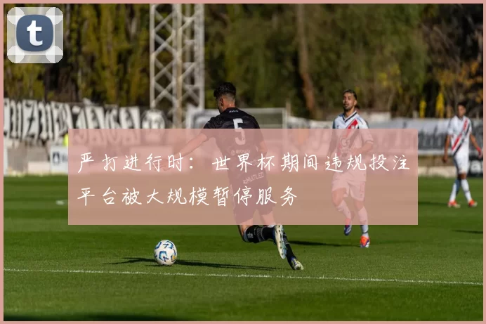 严打进行时:世界杯期间违规投注平台被大规模暂停服务
