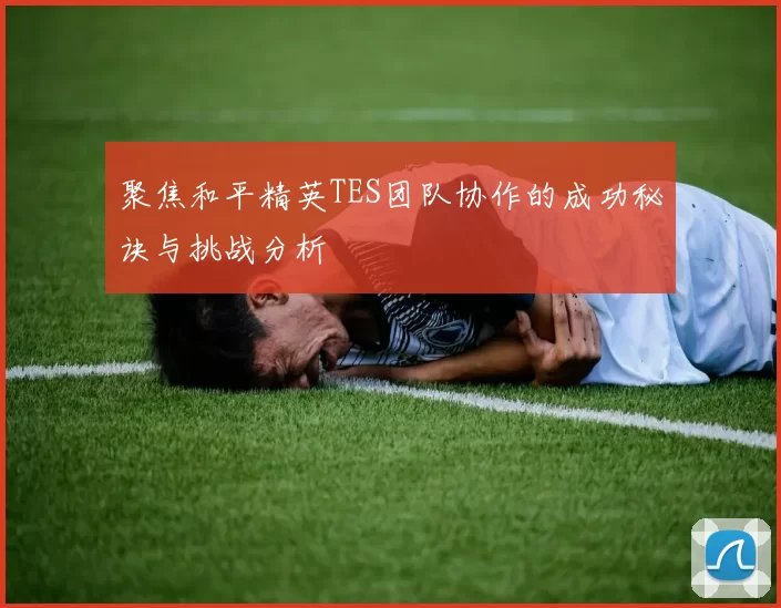 聚焦和平精英TES团队协作的成功秘诀与挑战分析