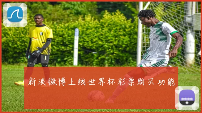 新浪微博上线世界杯彩票购买功能